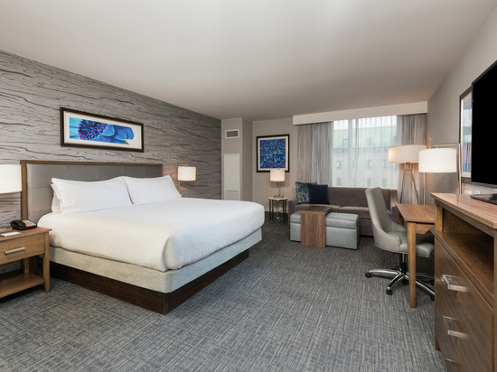 渥太华市中心Homewood Suites by Hilton