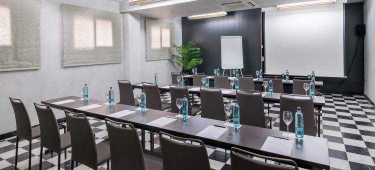 塞勒斯酒店 赫罗纳机场(Salles Hotel Aeroport de Girona)图片