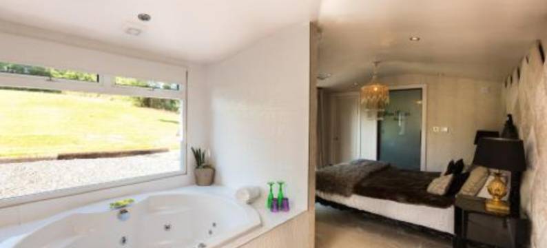 惊喜酒店(Who'd A Thought It)图片