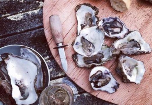 Discover Bruny Island Holiday Accommodation Hotel Overview