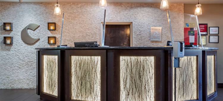 舒适套房酒店(Comfort Suites)图片