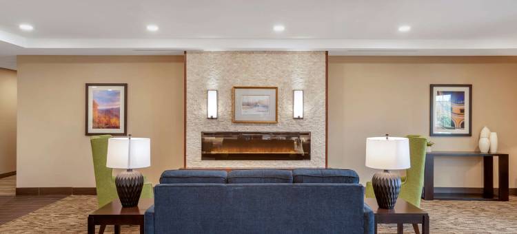 舒适套房酒店(Comfort Inn & Suites)图片