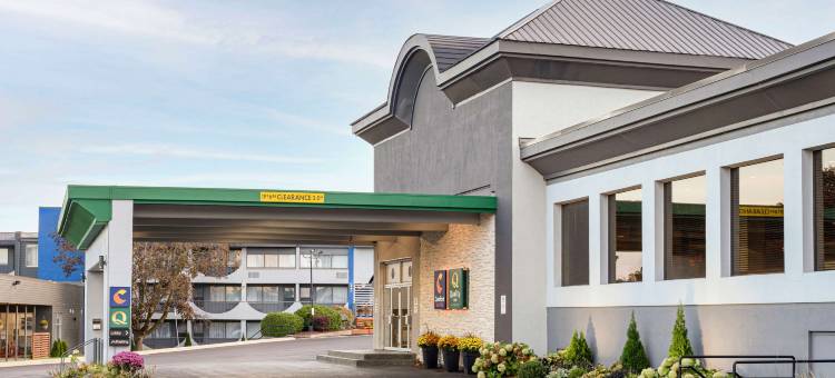 金斯顿中心舒适套房酒店(Comfort Suites Kingston Central)图片