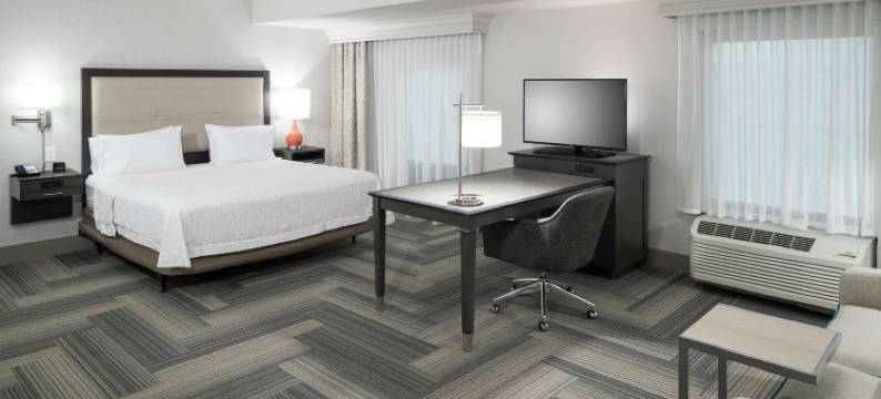 亚特兰大周界邓伍迪欢朋套房酒店(Hampton Inn & Suites Atlanta Perimeter Dunwoody)图片