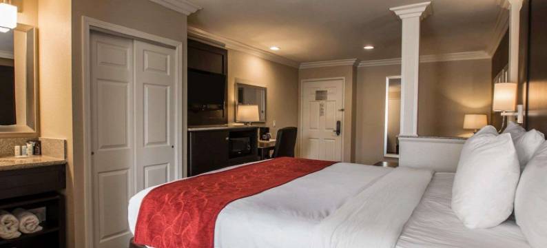 圣克莱门特海滩舒适套房酒店(Comfort Suites San Clemente Beach)图片