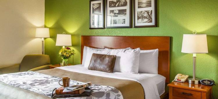 近棕榈州立公园的冈萨雷斯舒眠酒店及套房(Sleep Inn & Suites Near Palmetto State Park)图片