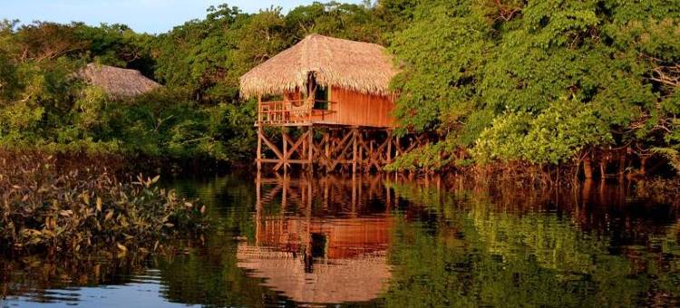 亚马逊祖马酒店(Juma Amazon Lodge)图片