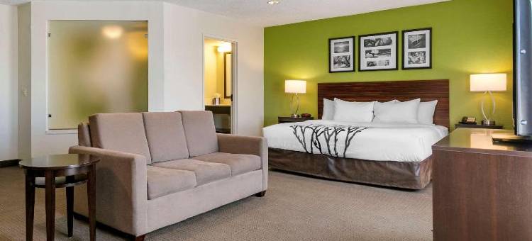阿伦敦 - 福格尔斯维尔舒眠酒店(Sleep Inn Allentown-Fogelsville)图片