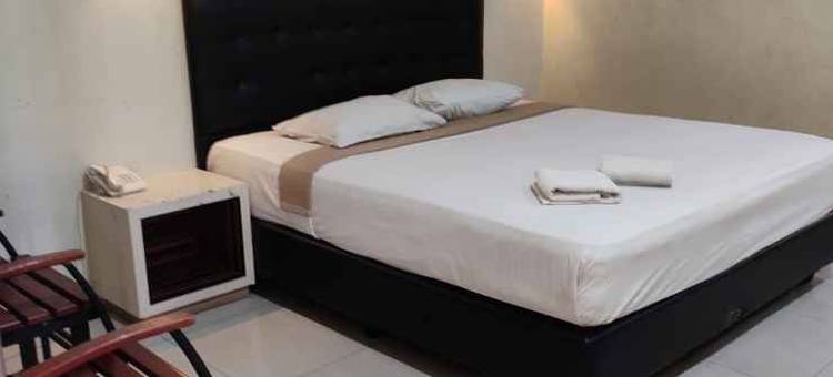 金色维拉酒店(Hotel Golden Vella)图片