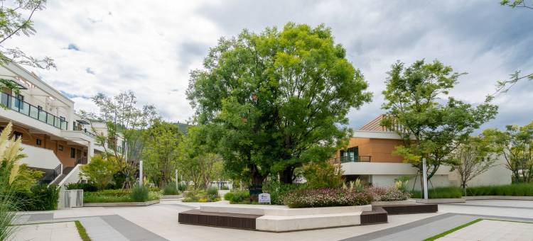 Summer家公寓(环湖公路分店)图片