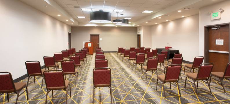 Holiday Inn & Suites 杜兰戈(Holiday Inn & Suites DURANGO DOWNTOWN by IHG)图片