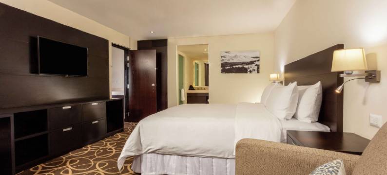 托卢卡希尔顿逸林酒店(DoubleTree by Hilton Toluca)图片