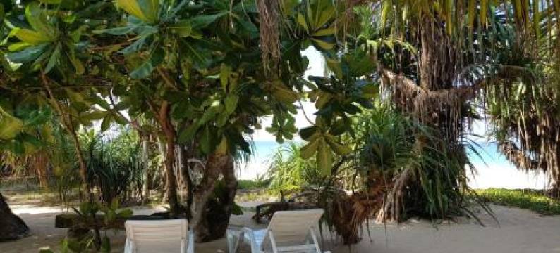 Sunrise Beach Inn图片