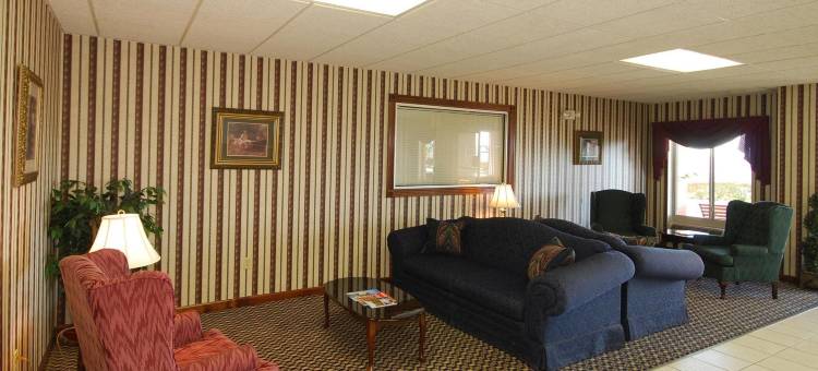 斯普林菲尔德舒适酒店及套房(Springfield Inn)图片