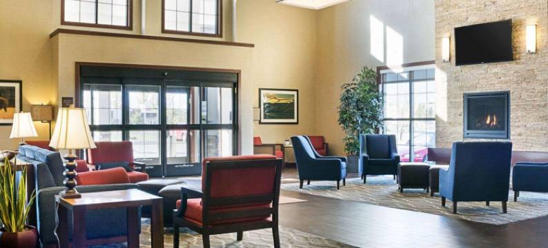 医疗中心舒适套房酒店(Comfort Suites Medical Center)图片