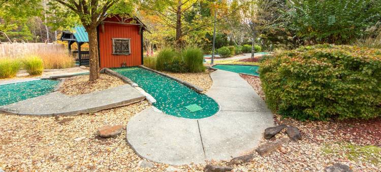 洲际酒店集团假日俱乐部度假村苹果山庄克拉克斯维尔(Holiday Inn Club Vacations Apple Mountain Resort)图片