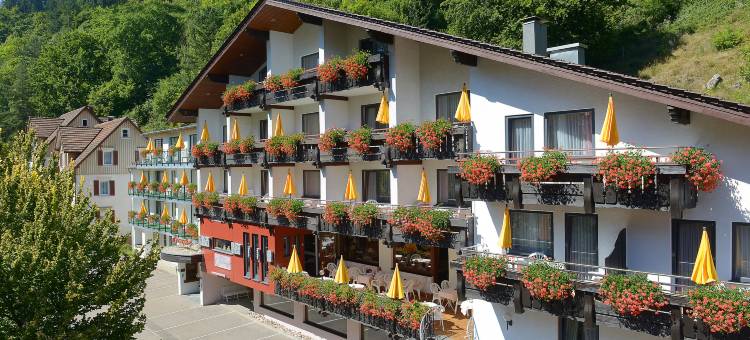 弗莱尔桑恩霍夫酒店(Ringhotel Sonnenhof)图片