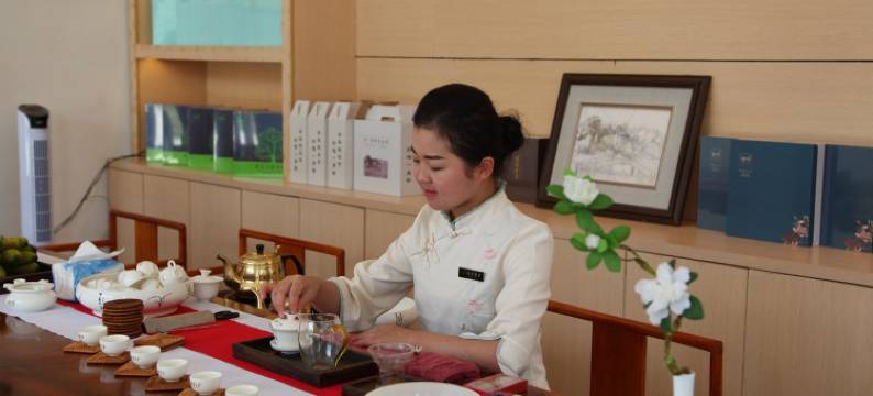 安溪德峰茶庄园图片