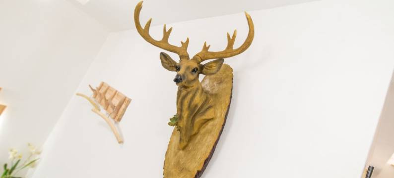 金蒲叶奢适金沙滩民宿(珠江路分店)图片