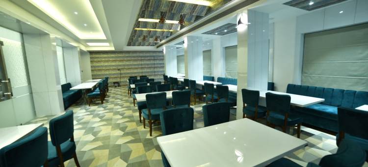 精致钯金酒店(Hotel Delite Palladium)图片