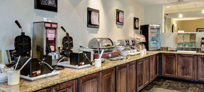 温泉城舒适套房酒店(Comfort Suites Near Hot Springs Park)图片