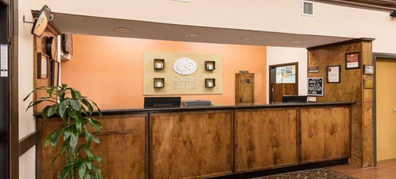 克鲁特杰克森湖舒适全套房酒店(Comfort Suites Lake Jackson Clute)图片