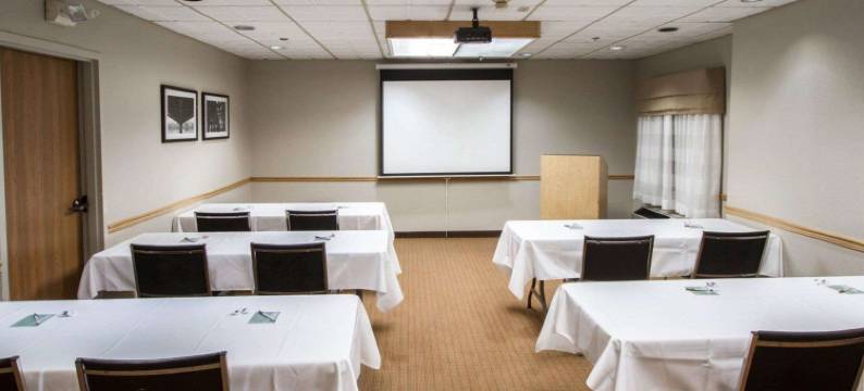 布法罗机场舒眠套房酒店(Sleep Inn & Suites Buffalo Airport)图片