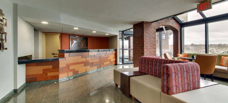 圣路易斯阿诺德梨树酒店(Pear Tree Inn St. Louis - Arnold)图片