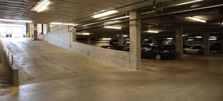 Recently Upgraded 1Br Apt – Downtown Location图片