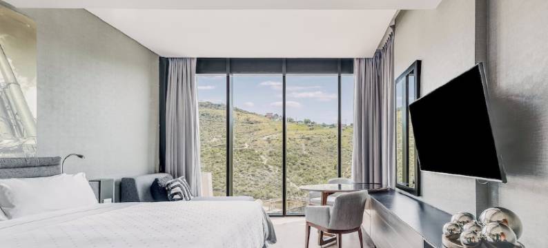 蒙特雷山谷盛大嘉年华美洲酒店(Grand Fiesta Americana Monterrey Valle)图片