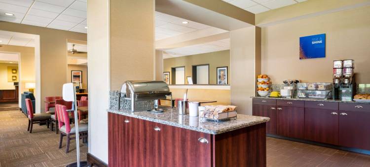 北湖舒适套房酒店(Comfort Suites Northlake)图片