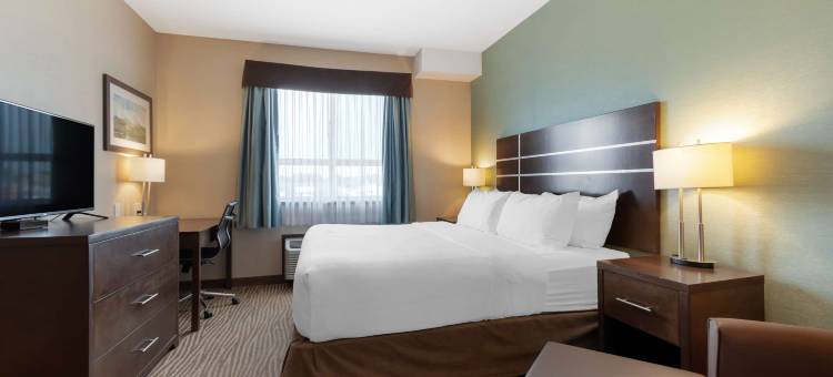 穆索明贝斯特韦斯特优质酒店(Best Western Plus Moosomin Hotel)图片