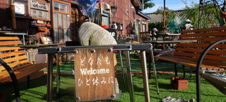 Natural Mind Tour图片