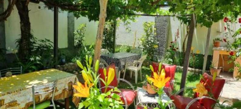 Cardones de Molinos图片