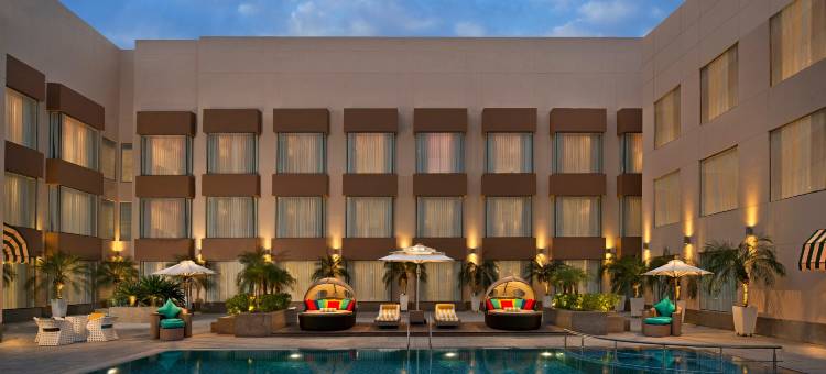 阿姆利则机场丽柏酒店(Park Inn by Radisson Amritsar Airport)图片