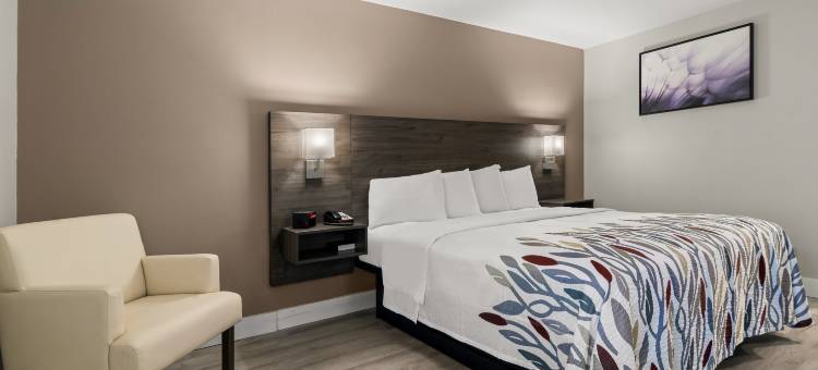 红屋顶华盛顿酒店(Red Roof Inn Washington, NC)图片