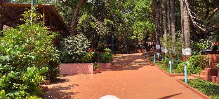 Byke Brightland冒险公园和度假村(The Byke Brightland Adventure Park & Resort)图片