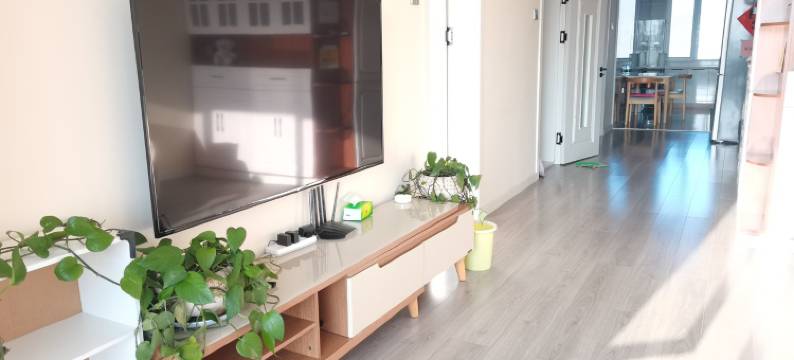 房东桦姐公寓(二七街分店)图片