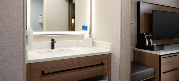 纽瓦克机场希尔顿欢朋酒店(Hampton Inn Newark Airport)图片
