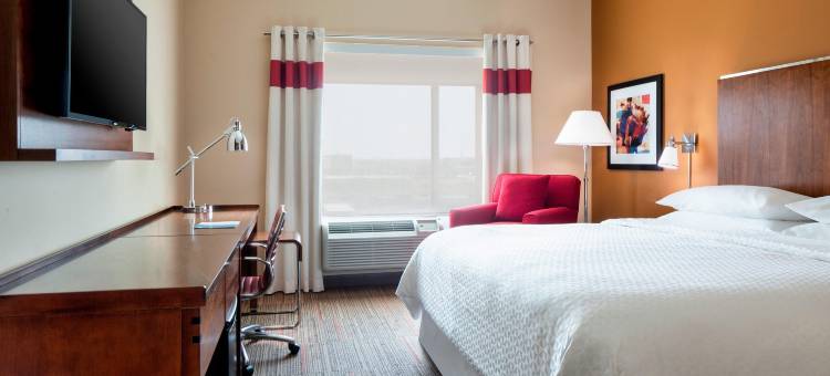 达拉斯沃斯堡机场北福朋喜来登酒店(Four Points by Sheraton Dallas Fort Worth Airport North)图片
