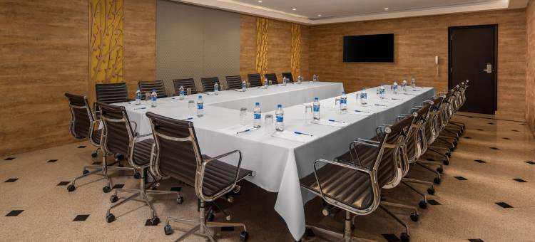 达尔萨拉姆德尔塔酒店(Delta Hotels Dar es Salaam)图片