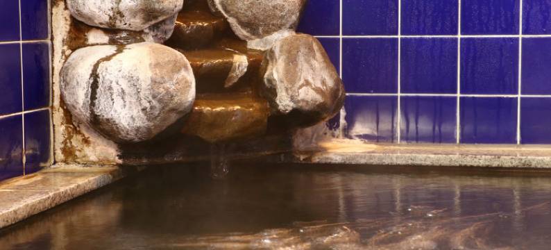 可以看见富士的天城路隐蔽小旅馆 富士见山庄(Fujimi Sanso)图片