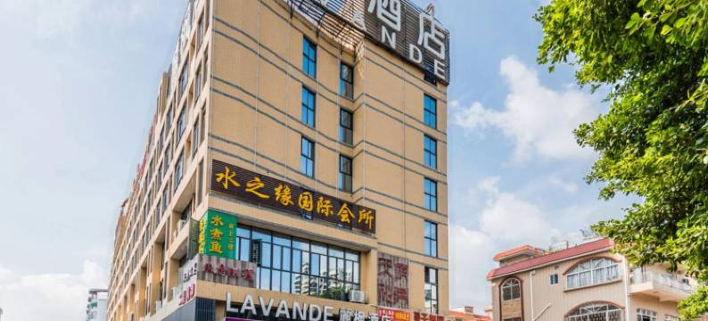 麗枫酒店(佛山顺德顺联广场锦龙地铁站店)图片