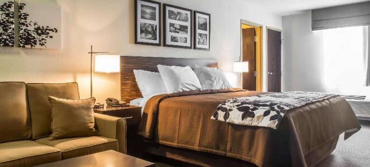机场舒眠套房酒店(Sleep Inn & Suites East Syracuse)图片