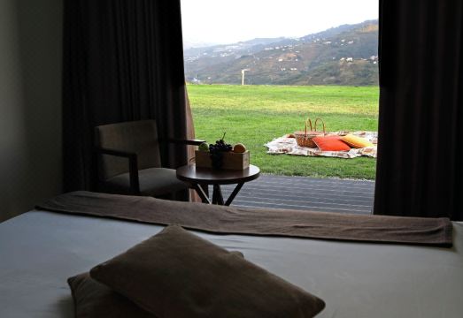 Douro Scala Hotel Overview