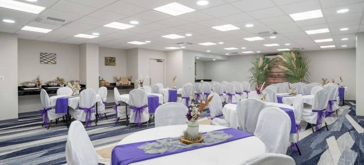 新奥尔良机场北舒适酒店及套房(Comfort Inn & Suites New Orleans Airport North)图片