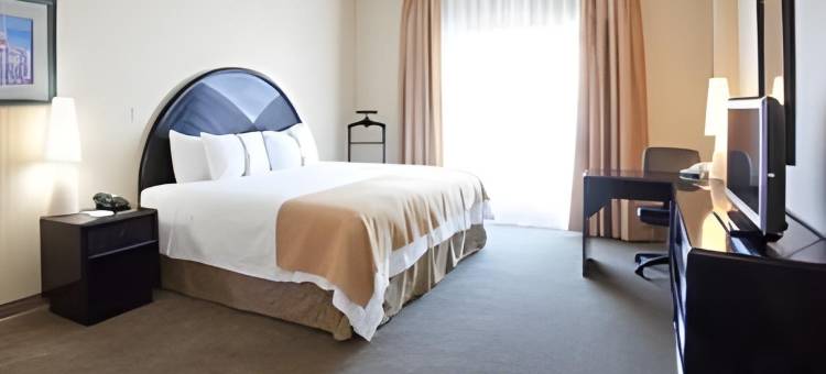 莱昂智选假日酒店(Holiday Inn Leon)图片