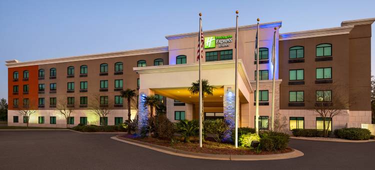 莫比尔西- I-10智选假日套房酒店(Holiday Inn Express & Suites Mobile West - I-10)图片