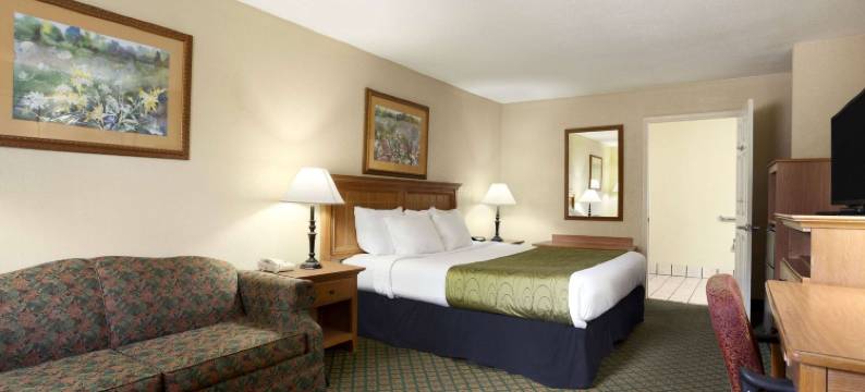 斯图加特温德姆戴斯套房酒店(Days Inn & Suites by Wyndham Stuttgart)图片