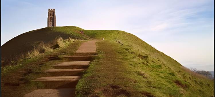 8只猫头鹰民宿(8 Owls B&B)图片